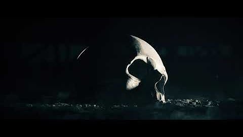 Skull disintegration (blender, After effects)