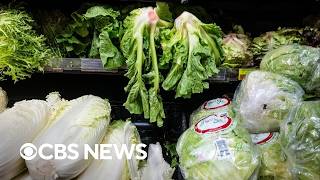 How this summer's food recalls compare to past years Guide