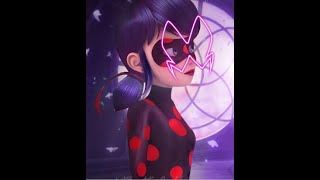 Bay Kara Böcekile Kara Leydi Savaşıyorfanyapimi Mucizevi Kaalki