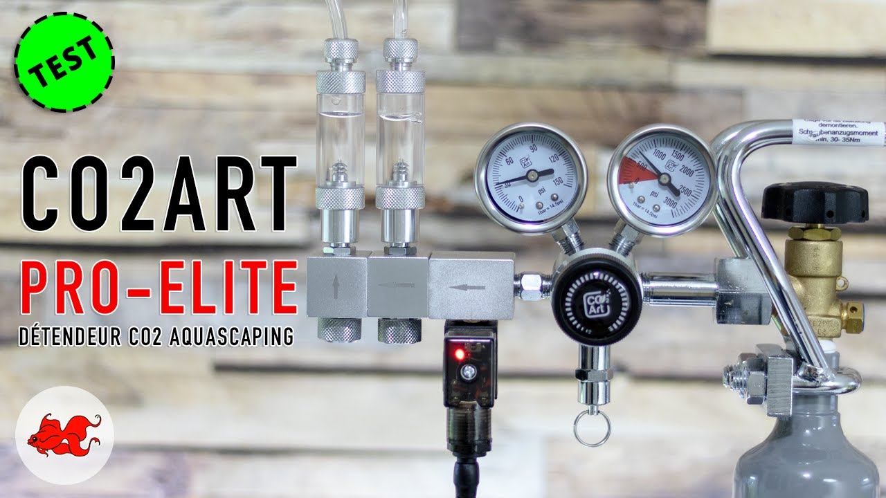 Review CO2Art Pro-Elite Series Regulator 