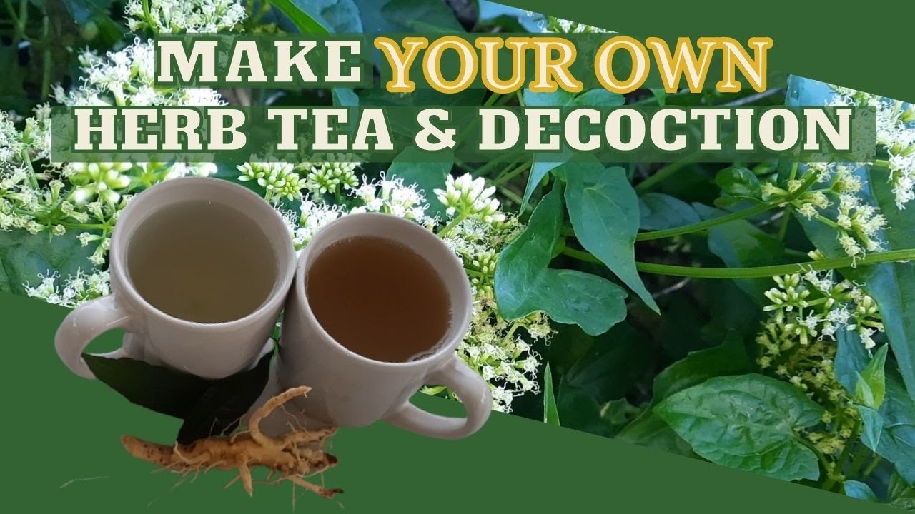 How to Make HOMEMADE Herbal Tea & Decoction Tea From YOUR Garden Herbs