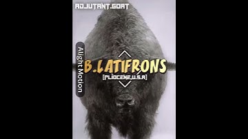 Comeback?? Nah💀| #alightmotion #capcut #wisedit #debate #wisedit #fypシ #1v1 #animals #music