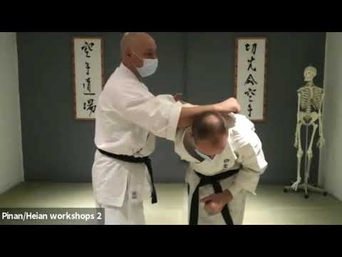 Pinan Shodan/Heian Nidan