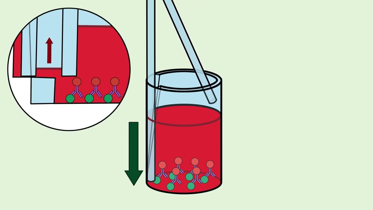 Using Oxley Hughes' Microplates with existing microplate automation - protecting the science.