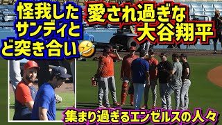 大谷サン専用 世界の舞台で夢を追い続ける大谷翔平選手が出演するnishikawa［エアー
