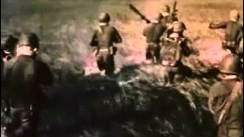 The Big Picture - Wings at the Tree Tops