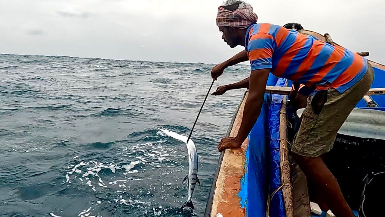 Catching Needle Fish & Queen Fish in the Sea YouTube