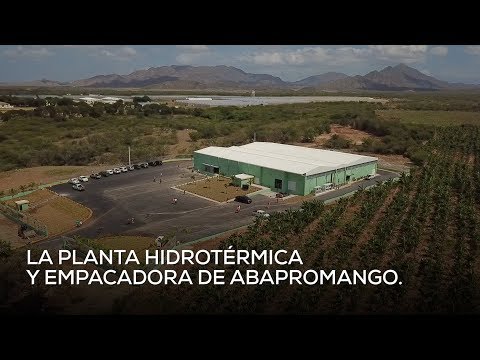 Video: Resultado de Visita Sorpresa a Baní, Danilo Medina entrega moderna planta de empaque y tratamiento hidrotérmico a productores de mango