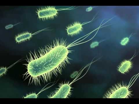 Violight. The idea. The Vision. 