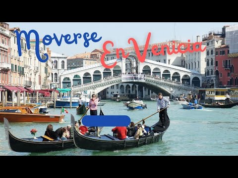 Video: ¿Están funcionando los vaporettos en Venecia?