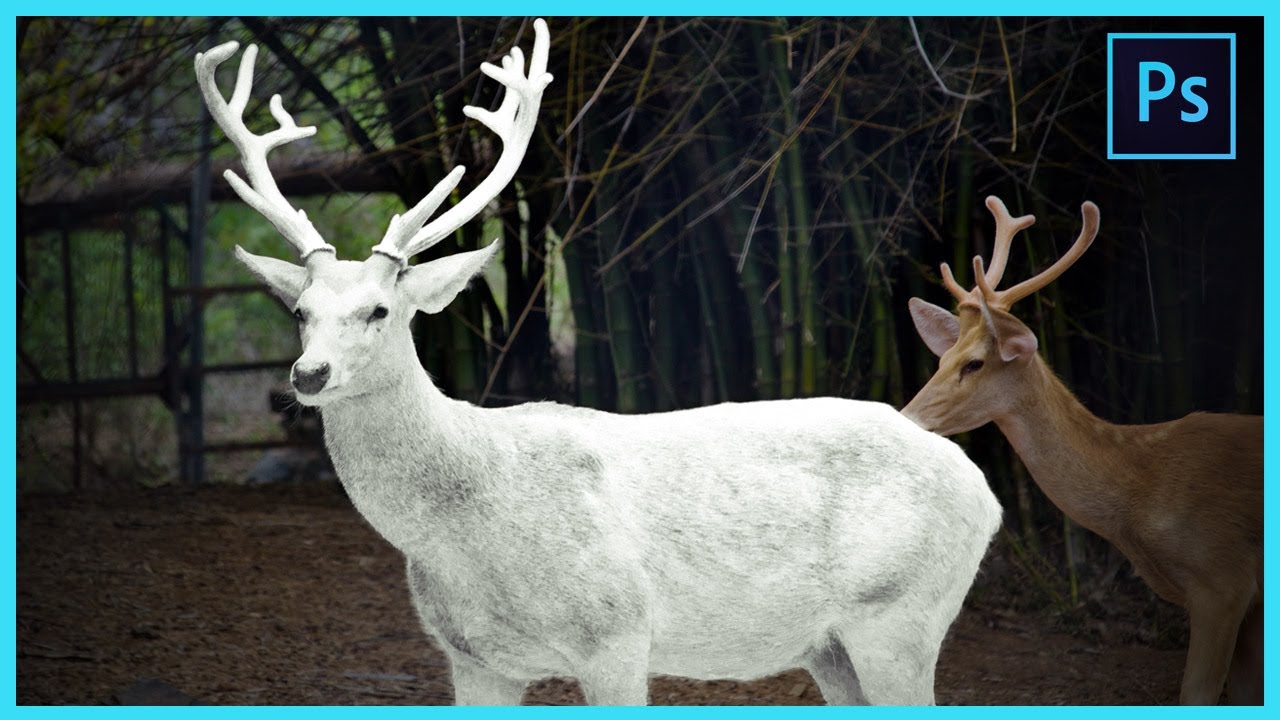 [ Photoshop Tutorial ]  Change Skin Color - WHITE DEER