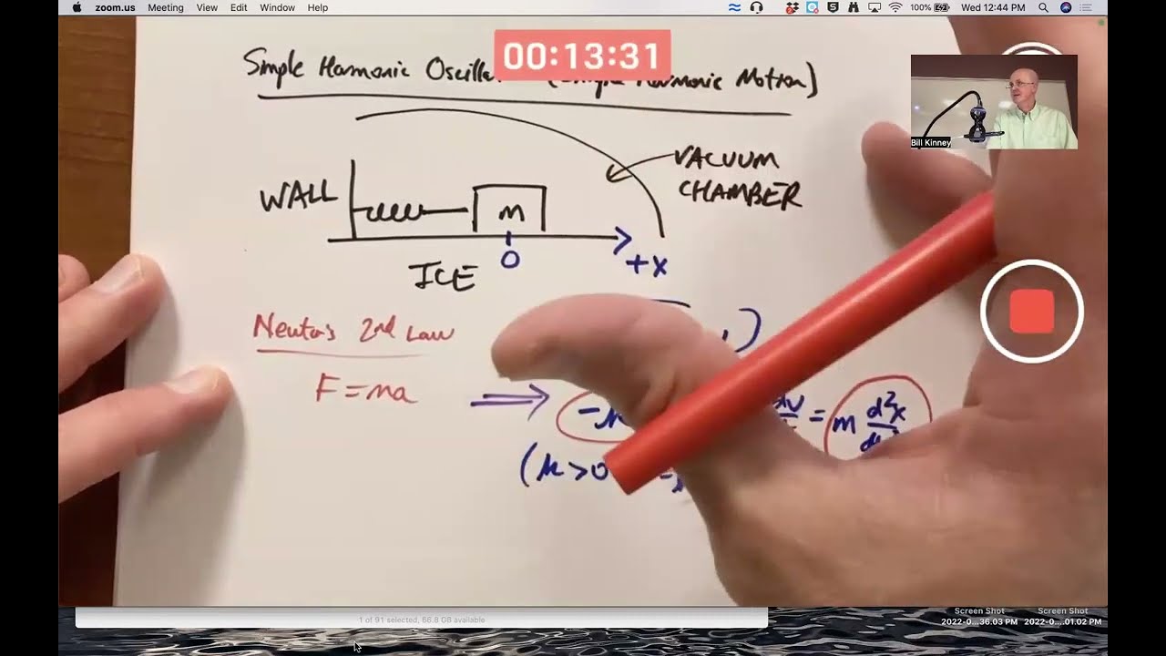 Simple Harmonic Motion Second Order Differential Equation Model (No Friction)