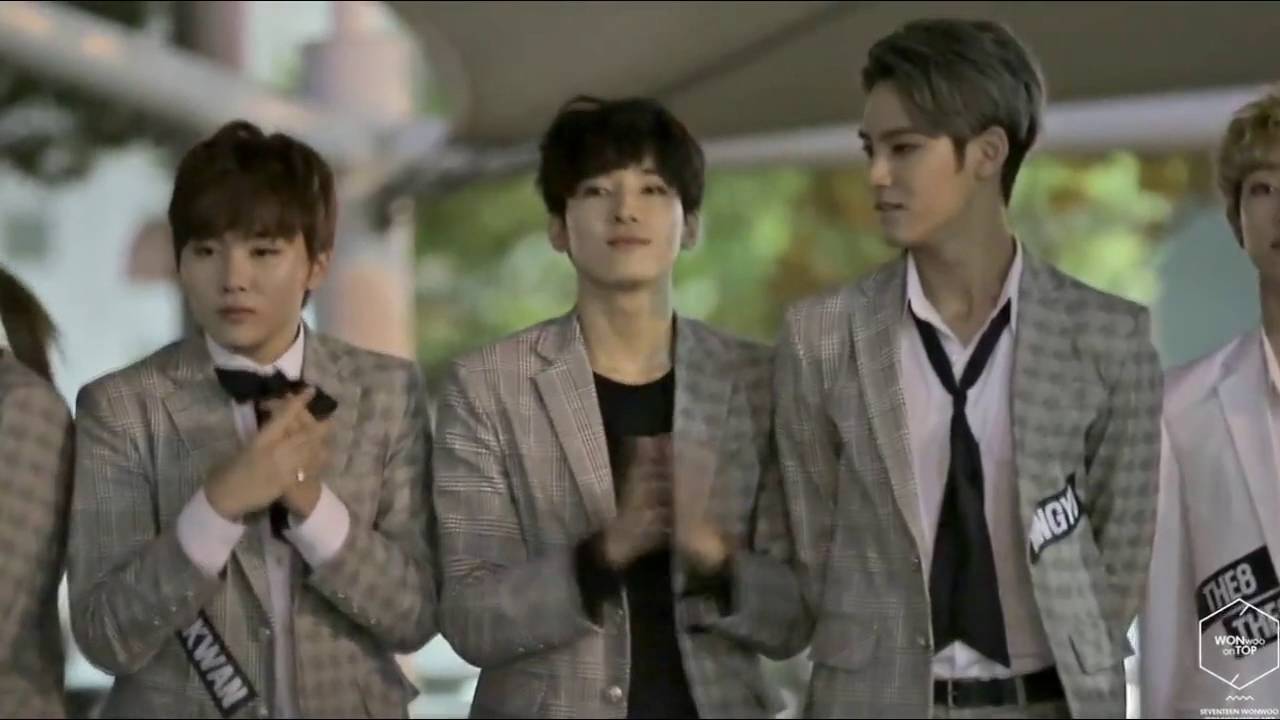 why we love seventeen's Mingyu & Wonwoo meanie couple