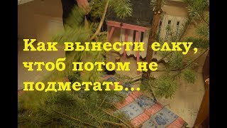 Как вынести елку, чтоб потом не подметать подъезд.