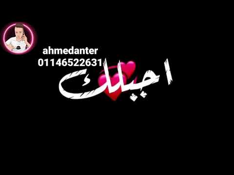 حالات واتس اب حب نصيبي وقسمتي الحلوه ونور عيني 2021