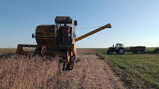 Sampo 680. Юмз-6Ал. Обмолот Сої 2024.