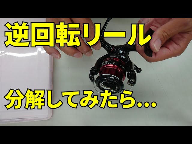 まさかの原因！【逆回転リール】 - YouTube