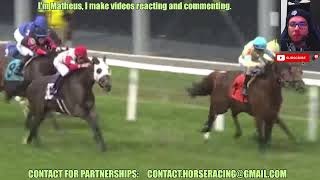 Bandoola wins at Pimlico May, 27 2024 RESULTS