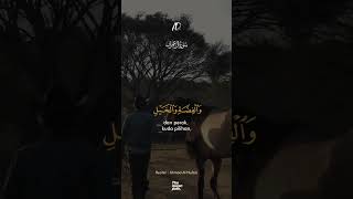 Surah Ali Imran (3) - Ayat 14 -  Ahmad Al Nufais