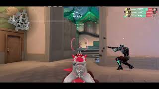 variety aimer