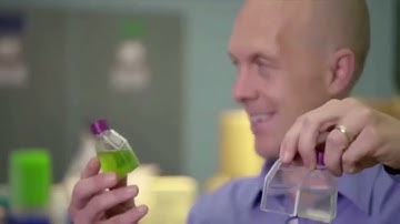 Fungus The Third Kingdom | Documentary