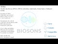 Ácidos Nucleicos: Estrutura, DNA, RNA, Replicação, Transcrição e Tradução