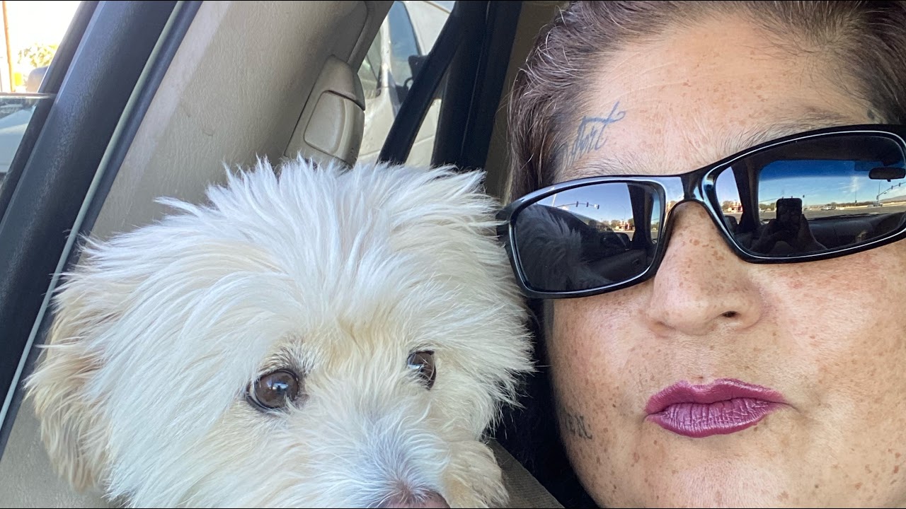 A little bit stream talking about are new sister channels and what is happening next