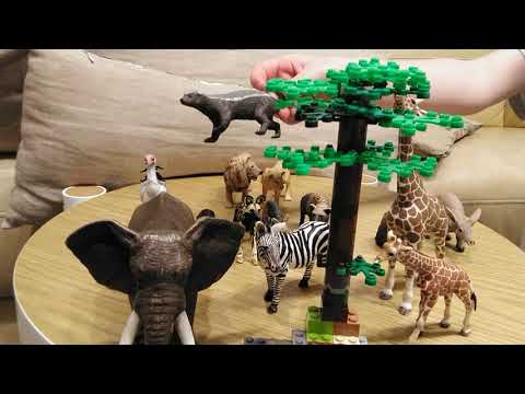 Savannah food web