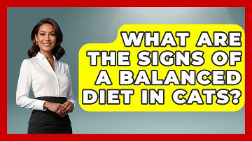 What Are the Signs of a Balanced Diet in Cats? | Happy Cat Handbook