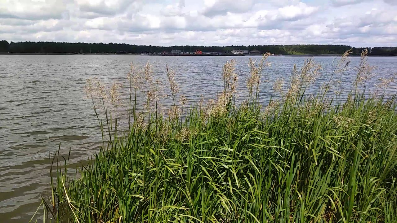 Zalew Wykrot (53°19'47.4"N 21°24'44.1"E)