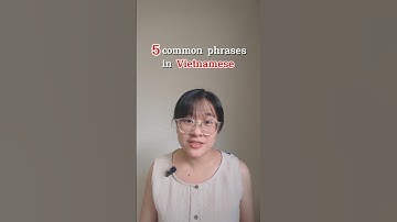 5 basic phrases in Southern Vietnamese #learnvietnamese #vietnameselanguage #vietnamese #vietnam