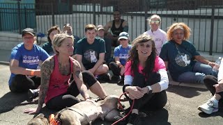 FULL INTERVIEW: All about Richmond SPCA's Dog Jog