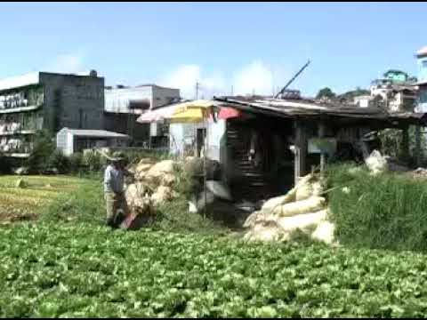SENDONG - Biag di Desperado (IGOROT SONG) (MV)