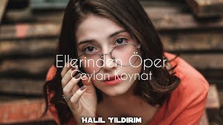 Ceylan Koynat - Ellerinden Öper ( Halil Yıldırım Remix )