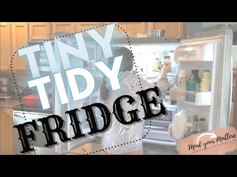 Tiny Tidy: Fridge