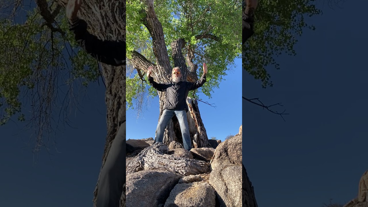 13 min Medical Qigong  to Tonify 3 Dantians, Taiji Pole, and Sanjiao