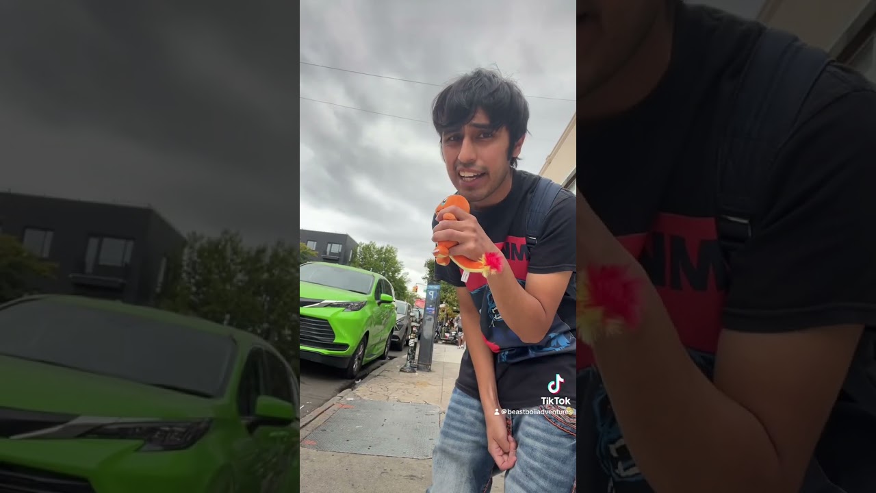 Sunset Park Concert 🎶