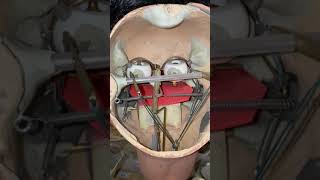 Ventriloquist Dummy Brains