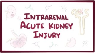 Intrarenal acute kidney injury (acute renal failure)  causes, symptoms & pathology