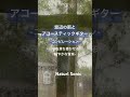 Natural Sonic「窓辺の雨とアコースティックギター」コンピレーション— 心を落ち着かせる穏やかな音楽 —