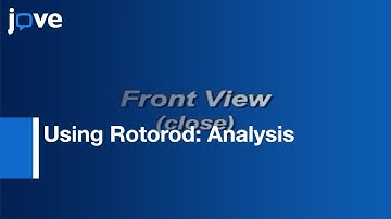 Rotorod:Qualitative Analysis For Walking In Rat (Method)
