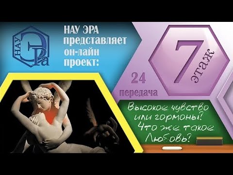 Высокое чувство или гормоны? Что же такое – Любовь? (Архив проекта #7этаж)