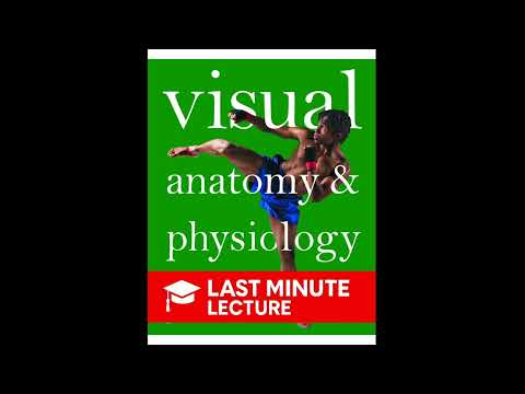 The Endocrine System | Chapter 16