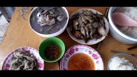 giăng lưới cá sặc làm bữa cơm cho gia đình // bữa cơm miền quê