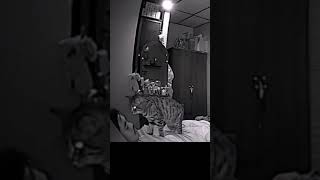 Celebrity Sleep Paralysis Demon Caught on Camera #Shorts Net Worth