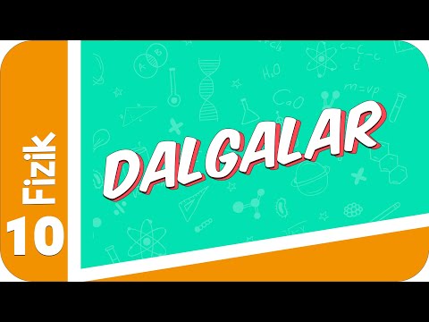 10. Sınıf Fizik : Dalgalar #2022