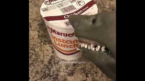 Shark puppet makes some Asian cuisine