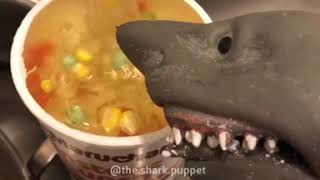 Shark puppet makes some Asian cuisine