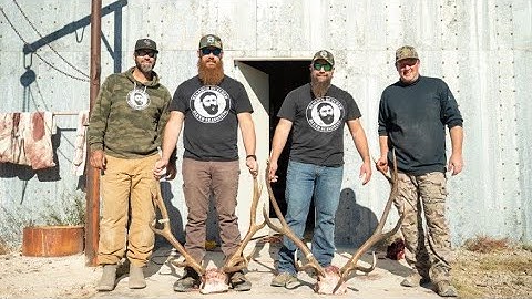 Field dressing and Processing Elk in New Mexico | The Bearded Butchers