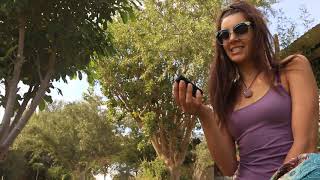 Arizer Argo Testing 2018